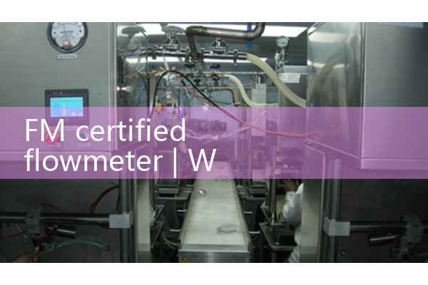 FM certified flowmeter